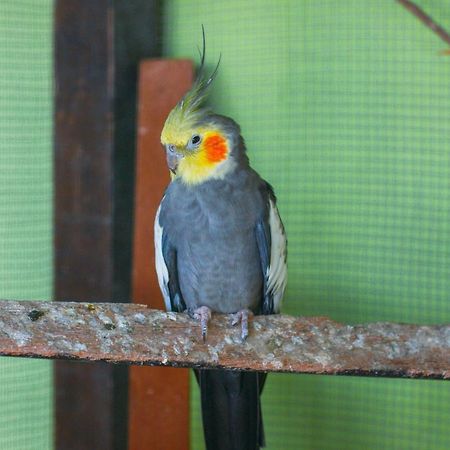 Pousada Campo Alegre Итатиая Экстерьер фото